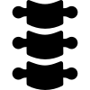 Chiropractic Care icon